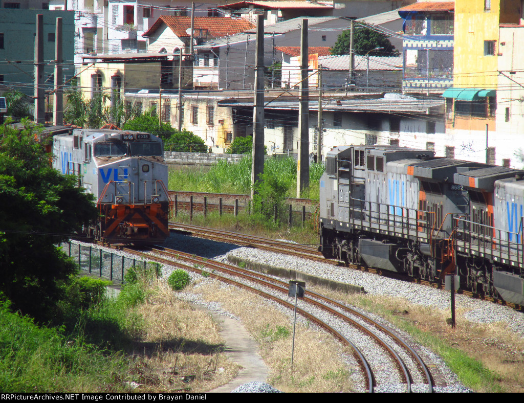 VLI 6038